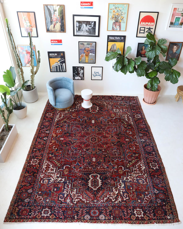 Antique Persian area rug in a living room setting, pile rug, vintage rug, portland, rug shop, bright colors, wild shaman, soft rug, bold color, Portland, Oregon, rug store, rug shop, local shop, antique rug, Persian rug, handmade rug, wool rug