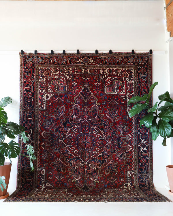 Antique Persian area rug in a living room setting, pile rug, vintage rug, portland, rug shop, bright colors, wild shaman, soft rug, bold color, Portland, Oregon, rug store, rug shop, local shop, antique rug, Persian rug, handmade rug, wool rug, distressed rug