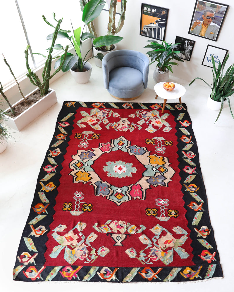 Vintage kilim rug in living room setting, bright colors, wild shaman, soft rug, bold color, Portland, Oregon, rug store, rug shop, local shop, vintage rug, modern kilim, warm colors