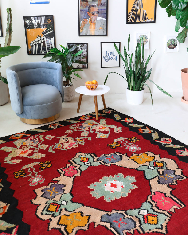 Vintage kilim rug in living room setting, bright colors, wild shaman, soft rug, bold color, Portland, Oregon, rug store, rug shop, local shop, vintage rug, modern kilim, warm colors