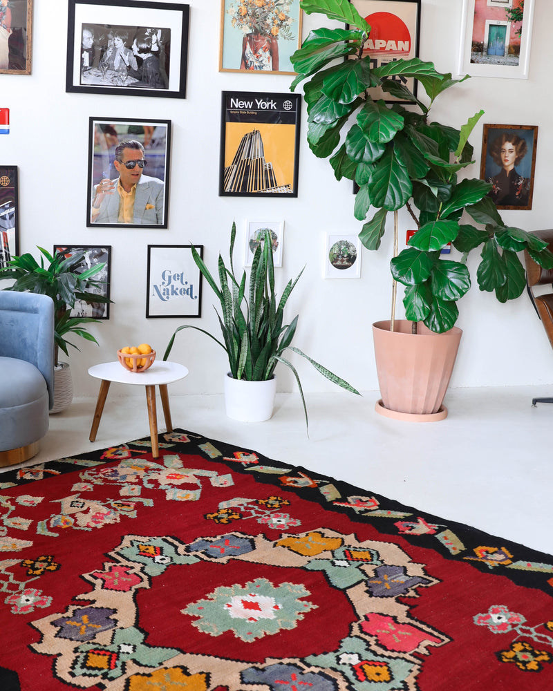 Vintage kilim rug in living room setting, bright colors, wild shaman, soft rug, bold color, Portland, Oregon, rug store, rug shop, local shop, vintage rug, modern kilim, warm colors