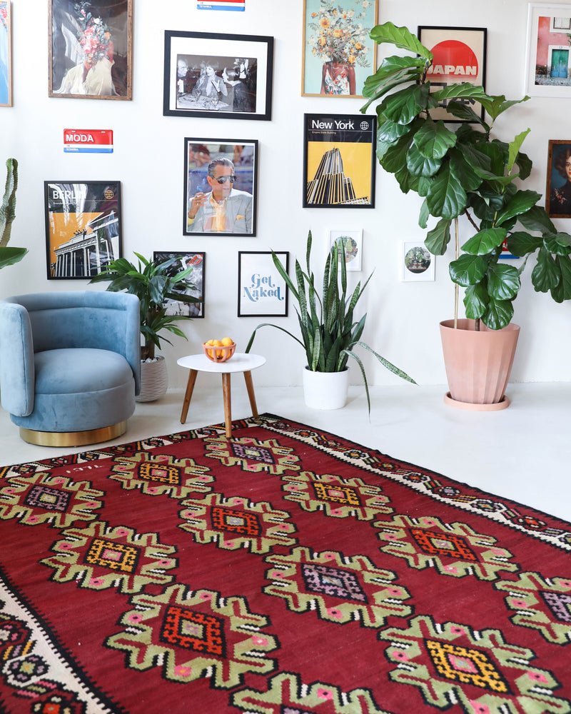 Vintage kilim rug in living room setting, bright colors, wild shaman, soft rug, bold color, Portland, Oregon, rug store, rug shop, local shop, vintage rug, modern kilim, warm colors