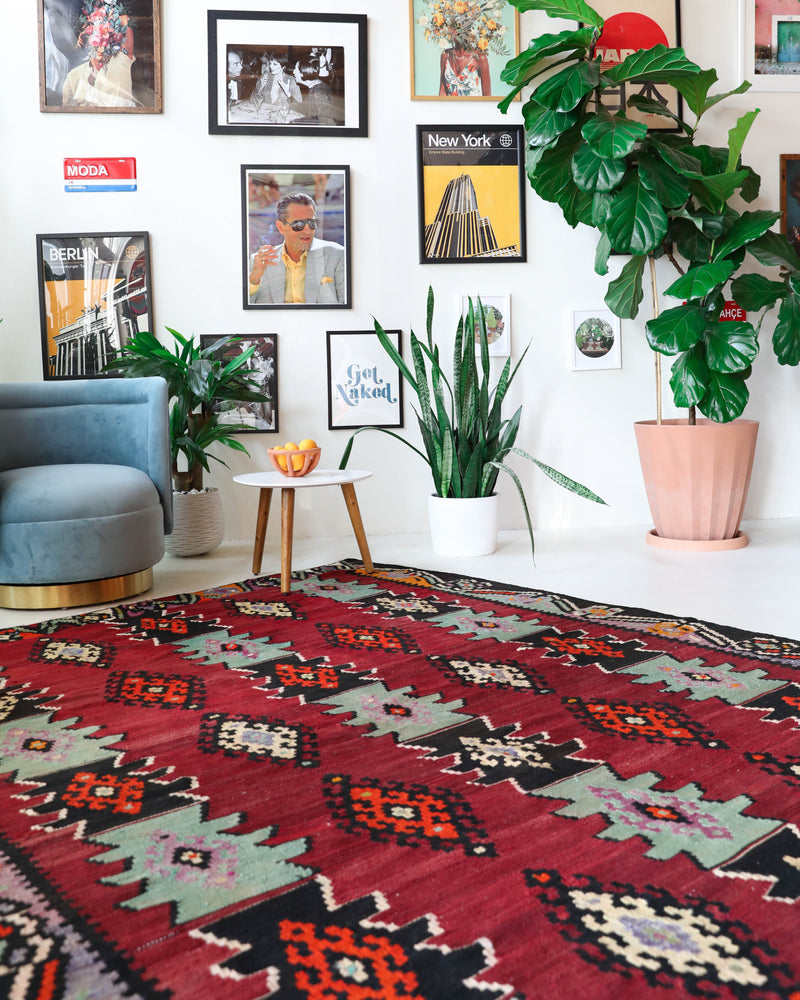 Vintage kilim rug in living room setting, bright colors, wild shaman, soft rug, bold color, Portland, Oregon, rug store, rug shop, local shop, vintage rug, modern kilim, warm colors