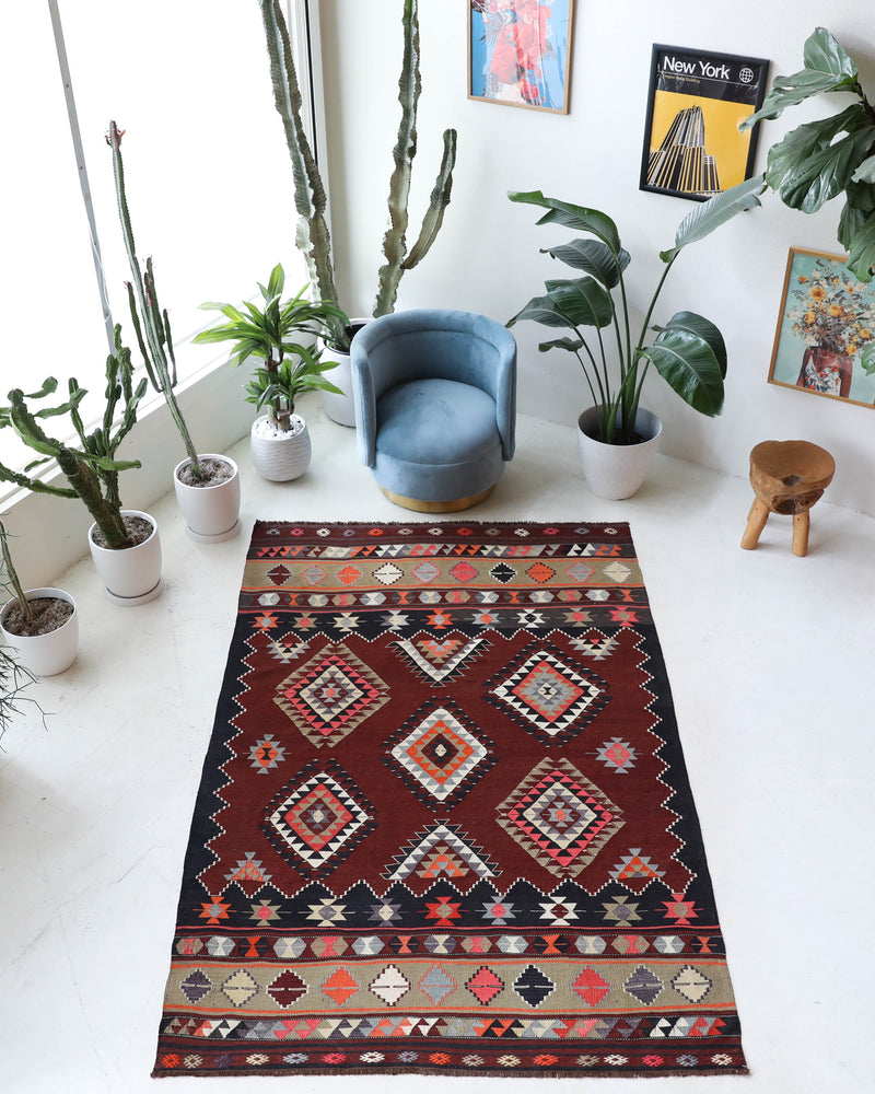 Vintage kilim rug in living room setting, bright colors, wild shaman, soft rug, bold color, Portland, Oregon, rug store, rug shop, local shop, vintage rug, modern kilim, warm colors, antique kilim rug