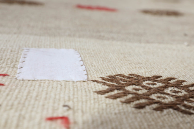 Vintage kilim rug in living room setting, old rug, antique rug, pastel colors, faded colors, Turkish rug, vintage rug, soft rug, Portland, Oregon, rug store, rug shop, local shop, earthy tones, earthy colors, warm colors