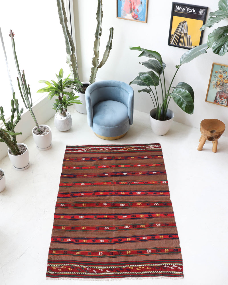 Vintage kilim rug in living room setting, bright colors, wild shaman, soft rug, bold color, Portland, Oregon, rug store, rug shop, local shop, vintage rug, modern kilim, warm colors