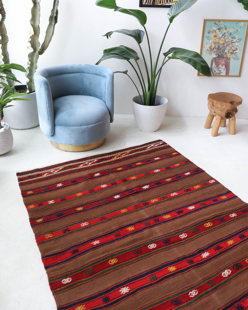 Vintage kilim rug in living room setting, bright colors, wild shaman, soft rug, bold color, Portland, Oregon, rug store, rug shop, local shop, vintage rug, modern kilim, warm colors