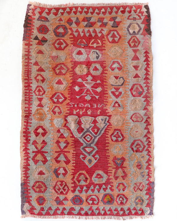 Vintage kilim rug in living room setting, old rug, antique rug, pastel colors, faded colors, Turkish rug, vintage rug, soft rug, Portland, Oregon, rug store, rug shop, local shop, earthy tones, earthy colors, warm colors