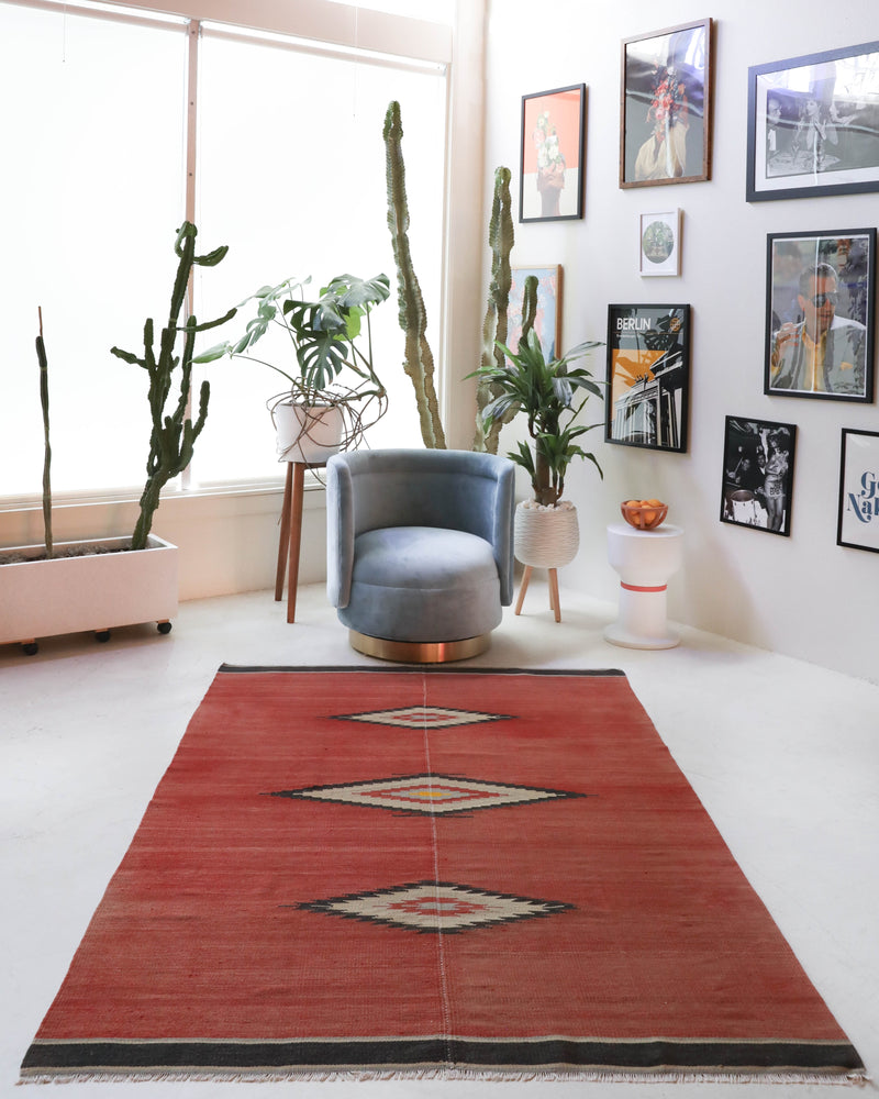 Vintage kilim rug in living room setting, bright colors, wild shaman, soft rug, bold color, Portland, Oregon, rug store, rug shop, local shop, vintage rug, modern kilim, warm colors