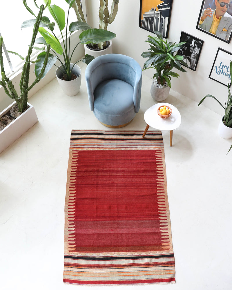 Vintage kilim rug in living room setting, bright colors, wild shaman, soft rug, bold color, Portland, Oregon, rug store, rug shop, local shop, vintage rug, modern kilim, warm colors