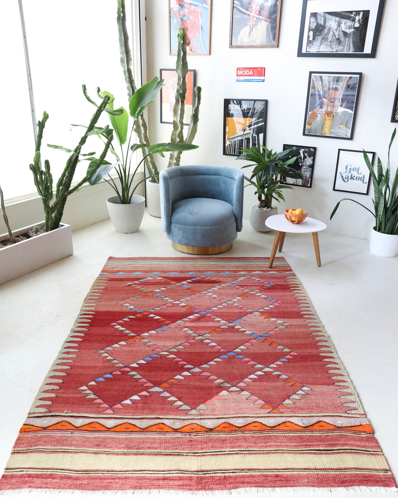  Vintage kilim rug in living room setting, bright colors, wild shaman, soft rug, bold color, Portland, Oregon, rug store, rug shop, local shop, vintage rug, modern kilim, warm colors