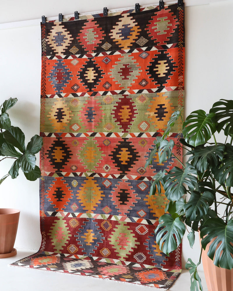 Vintage kilim rug in living room setting, bright colors, wild shaman, soft rug, bold color, Portland, Oregon, rug store, rug shop, local shop, vintage rug, modern kilim, warm colors