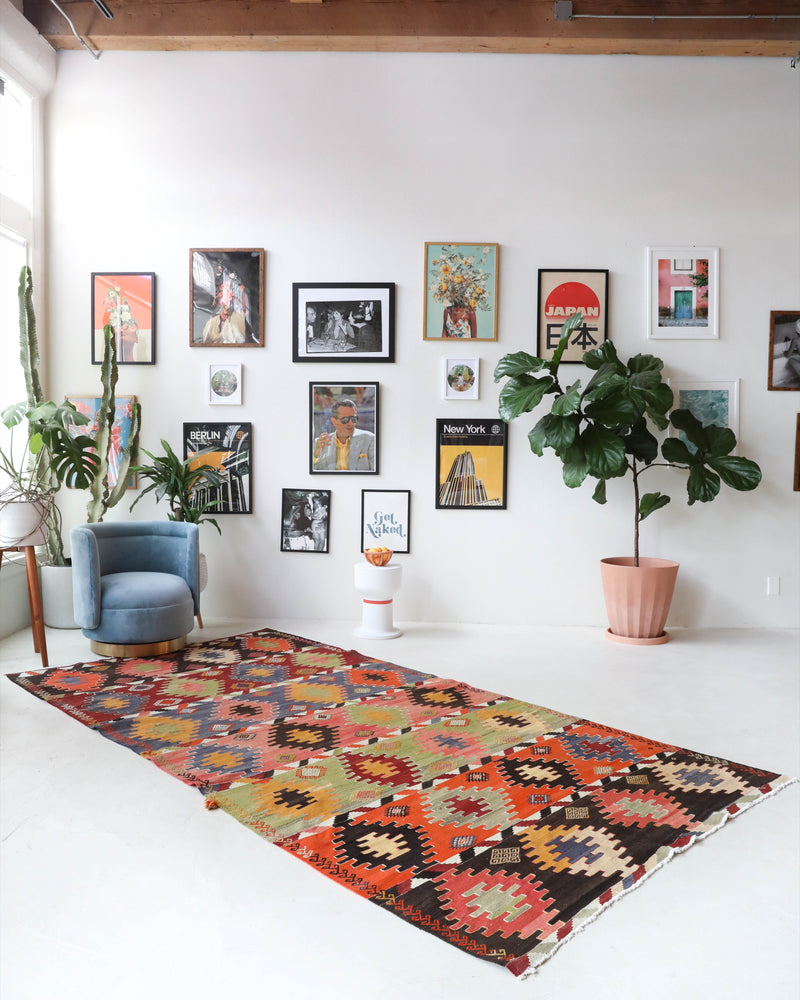 Vintage kilim rug in living room setting, bright colors, wild shaman, soft rug, bold color, Portland, Oregon, rug store, rug shop, local shop, vintage rug, modern kilim, warm colors