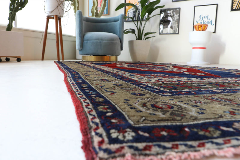 Antique Turkish rug in a living room setting, pile rug, Turkish rug, vintage rug, portland, rug shop, bright colors, wild shaman, soft rug, bold color, Portland, Oregon, rug store, rug shop, local shop, antique rug