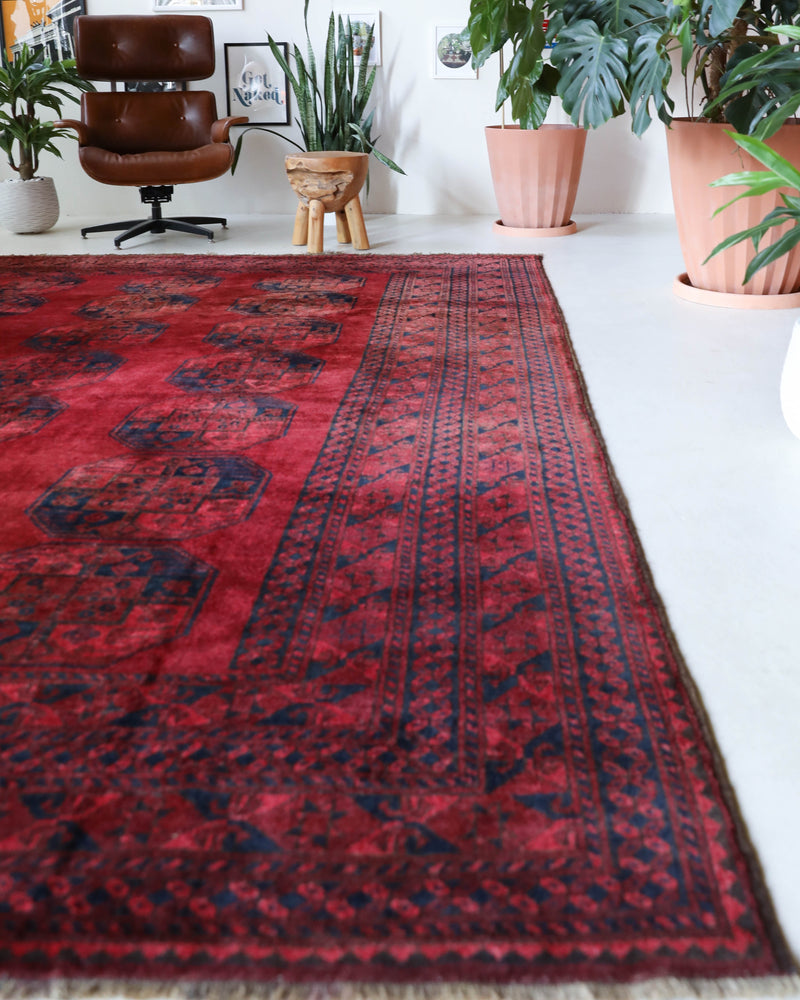 Antique Turkmen rug in a living room setting, pile rug, Turkish rug, vintage rug, portland, rug shop, bright colors, wild shaman, soft rug, bold color, Portland, Oregon, rug store, rug shop, local shop, antique rug