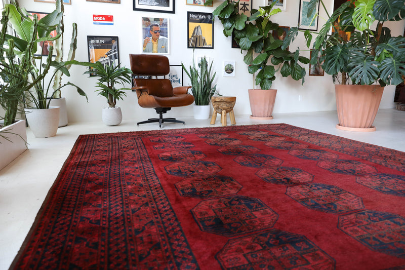 Antique Turkmen rug in a living room setting, pile rug, Turkish rug, vintage rug, portland, rug shop, bright colors, wild shaman, soft rug, bold color, Portland, Oregon, rug store, rug shop, local shop, antique rug