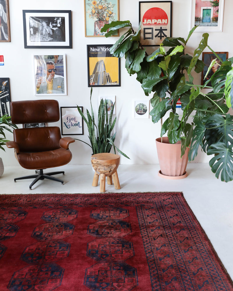 Antique Turkmen rug in a living room setting, pile rug, Turkish rug, vintage rug, portland, rug shop, bright colors, wild shaman, soft rug, bold color, Portland, Oregon, rug store, rug shop, local shop, antique rug