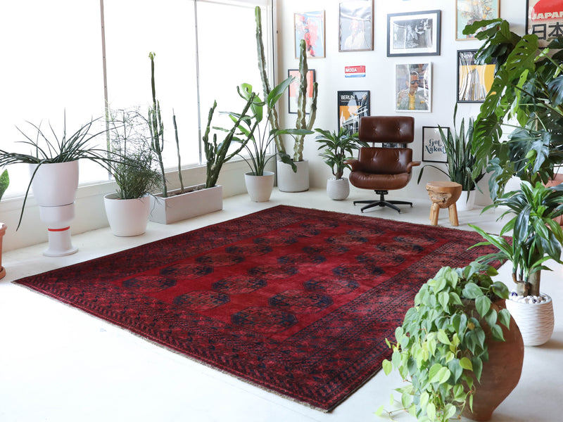 Antique Turkmen rug in a living room setting, pile rug, Turkish rug, vintage rug, portland, rug shop, bright colors, wild shaman, soft rug, bold color, Portland, Oregon, rug store, rug shop, local shop, antique rug