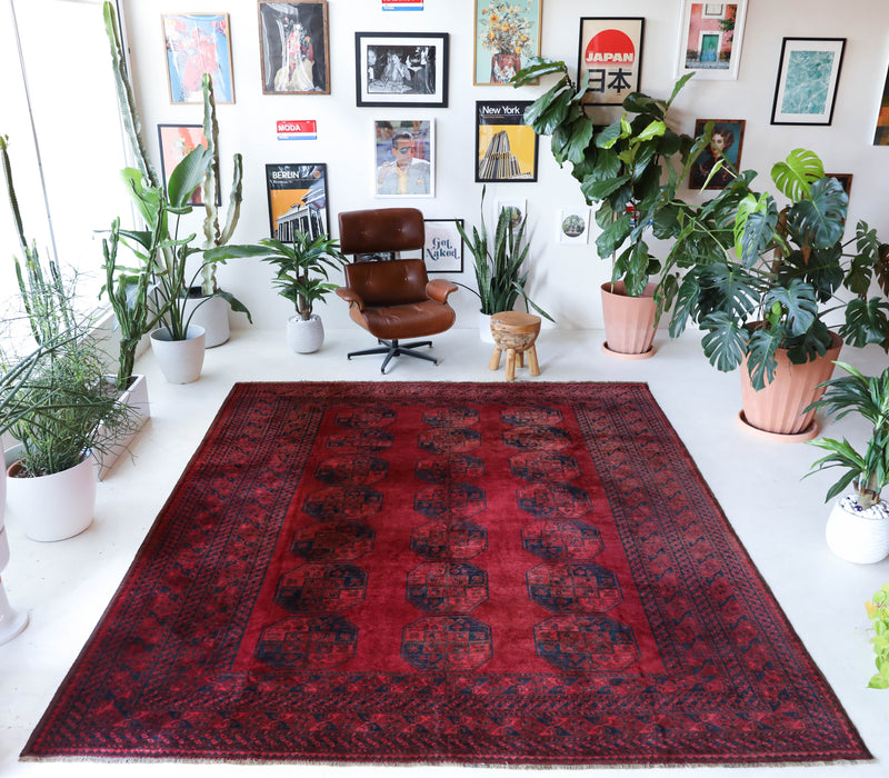 Antique Turkmen rug in a living room setting, pile rug, Turkish rug, vintage rug, portland, rug shop, bright colors, wild shaman, soft rug, bold color, Portland, Oregon, rug store, rug shop, local shop, antique rug