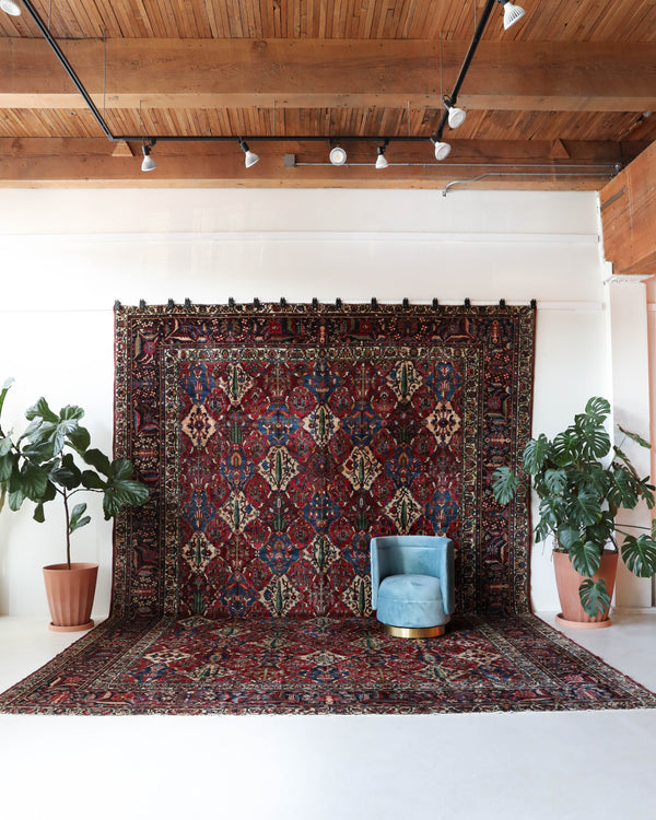 Antique Persian area rug in a living room setting, pile rug, vintage rug, portland, rug shop, bright colors, wild shaman, soft rug, bold color, Portland, Oregon, rug store, rug shop, local shop, antique rug, Persian rug, handmade rug, wool rug, distressed rug