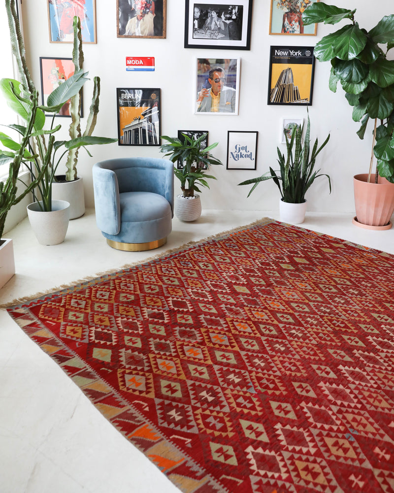  Vintage kilim rug in living room setting, bright colors, wild shaman, soft rug, bold color, Portland, Oregon, rug store, rug shop, local shop, vintage rug, modern kilim, warm colors