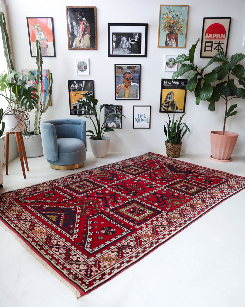 Vintage Turkish rug in a living room setting, pile rug, Turkish rug, vintage rug, portland, rug shop, bright colors, wild shaman, soft rug, bold color, Portland, Oregon, rug store, rug shop, local shop, antique rug