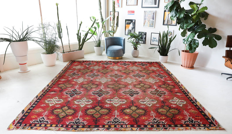 Vintage kilim rug in living room setting, bright colors, wild shaman, soft rug, bold color, Portland, Oregon, rug store, rug shop, local shop, vintage rug, modern kilim, warm colors