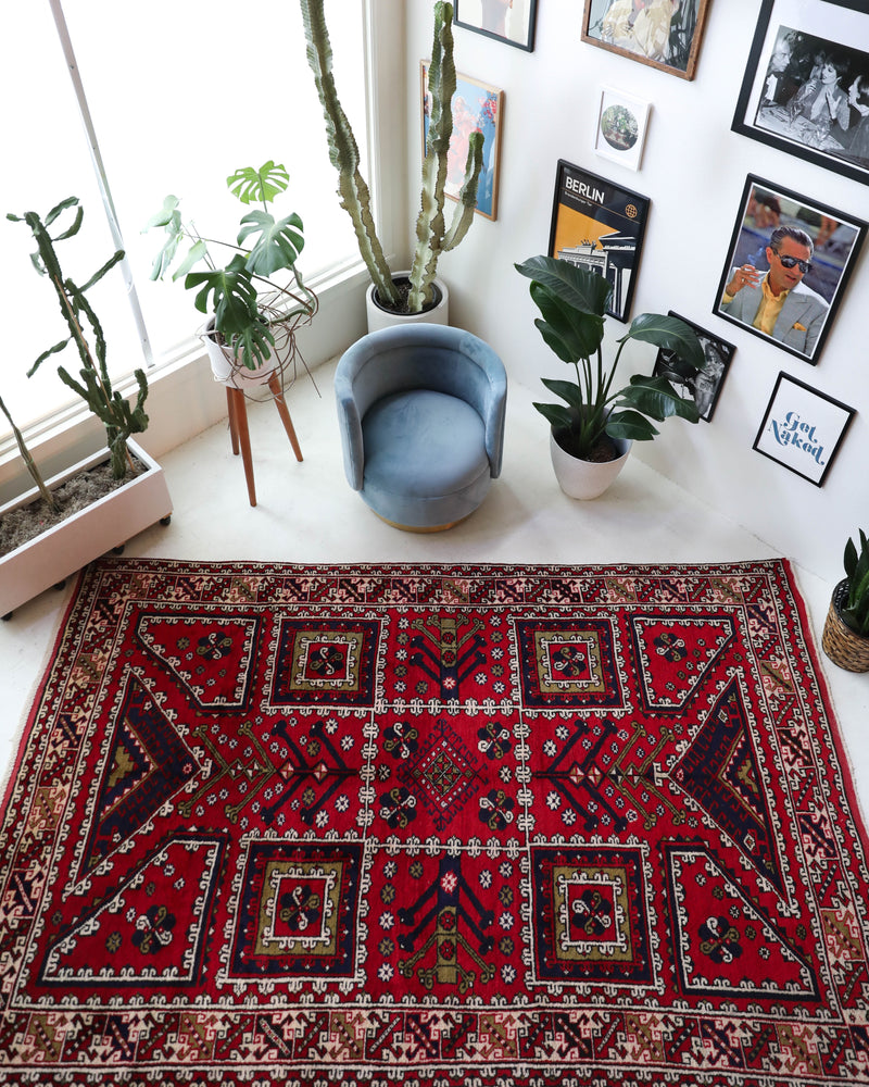 Vintage Turkish rug in a living room setting, pile rug, Turkish rug, vintage rug, portland, rug shop, bright colors, wild shaman, soft rug, bold color, Portland, Oregon, rug store, rug shop, local shop, antique rug