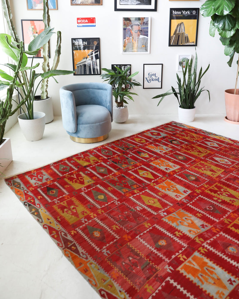 Vintage kilim rug in living room setting, bright colors, wild shaman, soft rug, bold color, Portland, Oregon, rug store, rug shop, local shop, vintage rug, modern kilim, warm colors