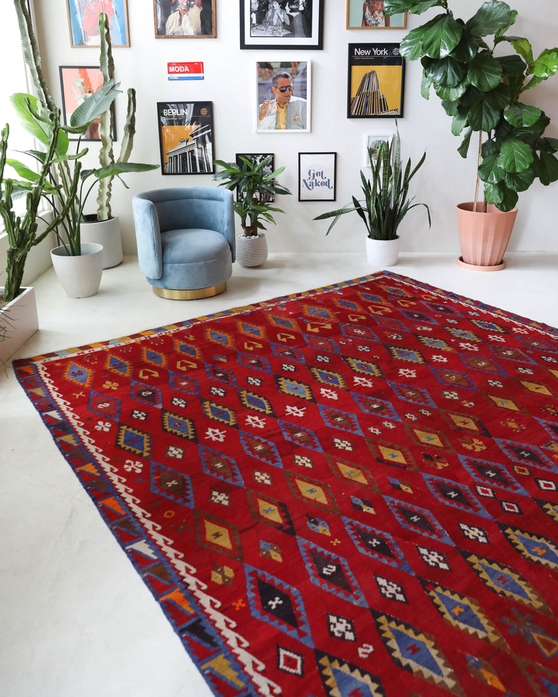 Vintage kilim rug in living room setting, bright colors, wild shaman, soft rug, bold color, Portland, Oregon, rug store, rug shop, local shop, vintage rug, modern kilim, warm colors