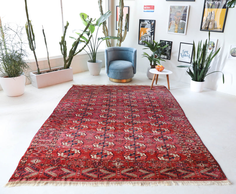 Antique Turkmen rug in a living room setting, pile rug, Turkish rug, vintage rug, portland, rug shop, bright colors, wild shaman, soft rug, bold color, Portland, Oregon, rug store, rug shop, local shop, antique rug