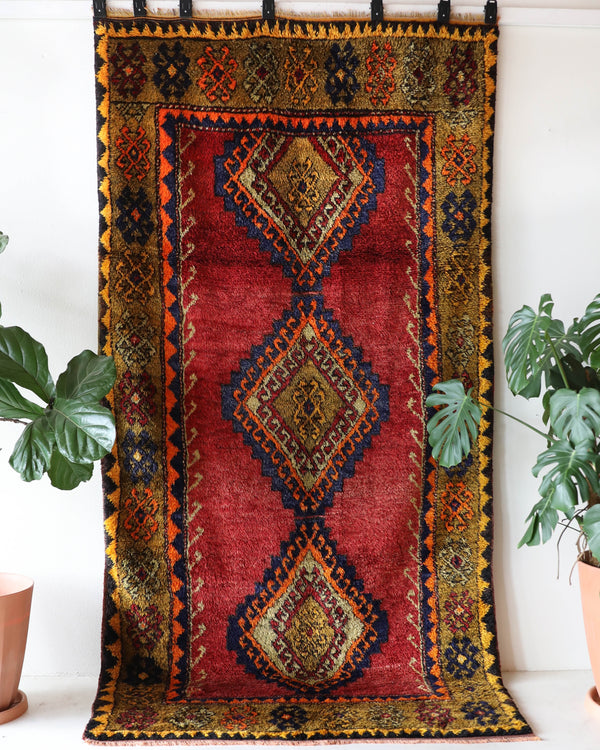 Vintage Turkish rug in a living room setting, pile rug, Turkish rug, vintage rug, portland, rug shop, bright colors, wild shaman, soft rug, bold color, Portland, Oregon, rug store, rug shop, local shop, shag rug, shaggy, plush,tulu rugs