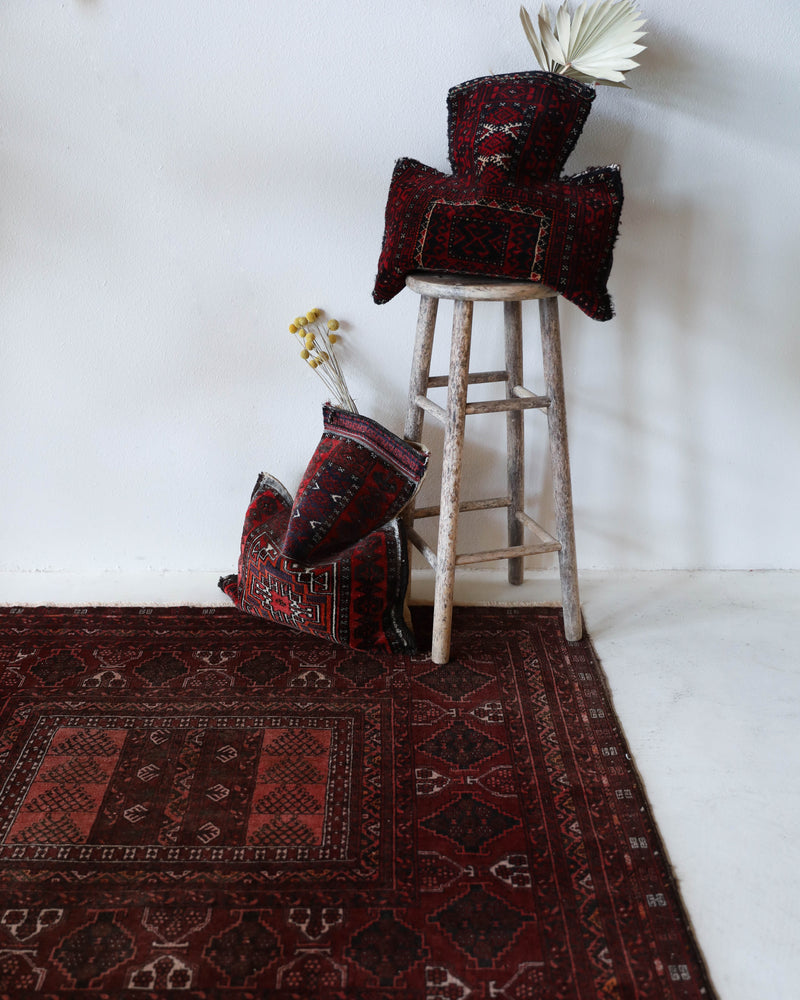 Antique Turkmen rug in a living room setting, pile rug, Turkish rug, vintage rug, portland, rug shop, bright colors, wild shaman, soft rug, bold color, Portland, Oregon, rug store, rug shop, local shop, antique rug