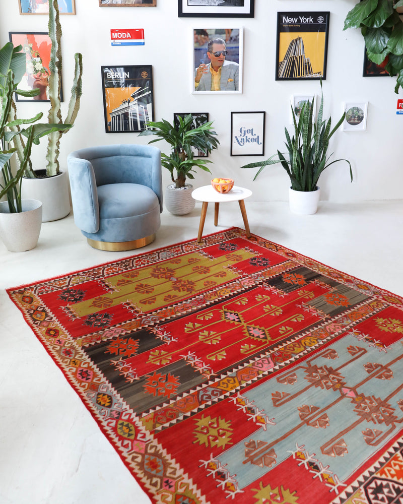 Vintage kilim rug in living room setting, bright colors, wild shaman, soft rug, bold color, Portland, Oregon, rug store, rug shop, local shop, vintage rug, modern kilim, warm colors