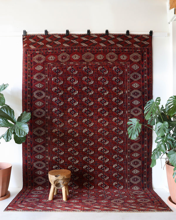  Antique Turkmen rug in a living room setting, pile rug, Turkish rug, vintage rug, portland, rug shop, bright colors, wild shaman, soft rug, bold color, Portland, Oregon, rug store, rug shop, local shop, antique rug