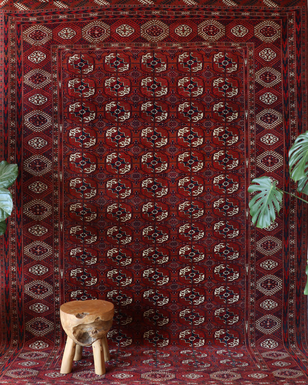  Antique Turkmen rug in a living room setting, pile rug, Turkish rug, vintage rug, portland, rug shop, bright colors, wild shaman, soft rug, bold color, Portland, Oregon, rug store, rug shop, local shop, antique rug