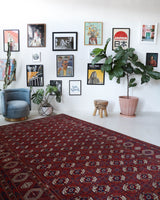  Antique Turkmen rug in a living room setting, pile rug, Turkish rug, vintage rug, portland, rug shop, bright colors, wild shaman, soft rug, bold color, Portland, Oregon, rug store, rug shop, local shop, antique rug