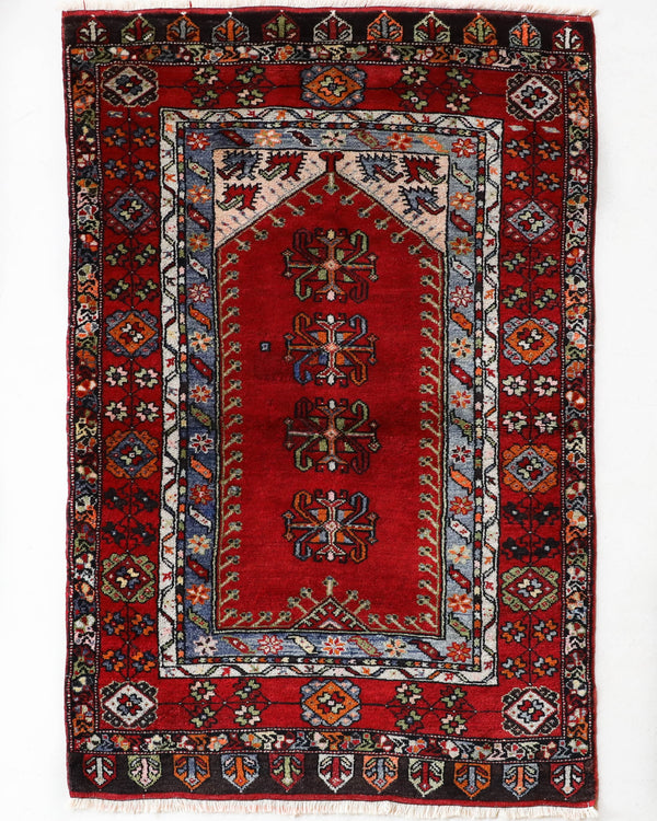 Vintage Turkish rug in a living room setting, pile rug, Turkish rug, vintage rug, portland, rug shop, bright colors, wild shaman, soft rug, bold color, Portland, Oregon, rug store, rug shop, local shop, antique rug