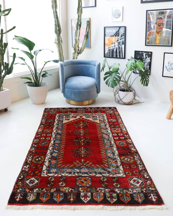 Vintage Turkish rug in a living room setting, pile rug, Turkish rug, vintage rug, portland, rug shop, bright colors, wild shaman, soft rug, bold color, Portland, Oregon, rug store, rug shop, local shop, antique rug