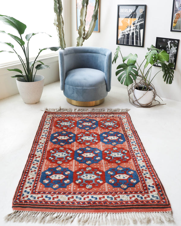 Vintage Turkish rug in a living room setting, pile rug, Turkish rug, vintage rug, portland, rug shop, bright colors, wild shaman, soft rug, bold color, Portland, Oregon, rug store, rug shop, local shop, antique rug