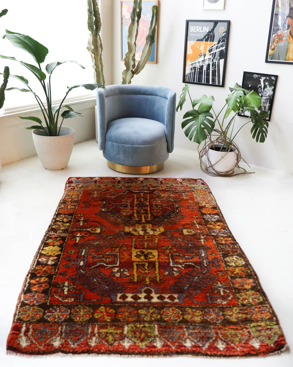 Vintage Turkish rug in a living room setting, pile rug, Turkish rug, vintage rug, portland, rug shop, bright colors, wild shaman, soft rug, bold color, Portland, Oregon, rug store, rug shop, local shop, shag rug, shaggy, plush,tulu rugs