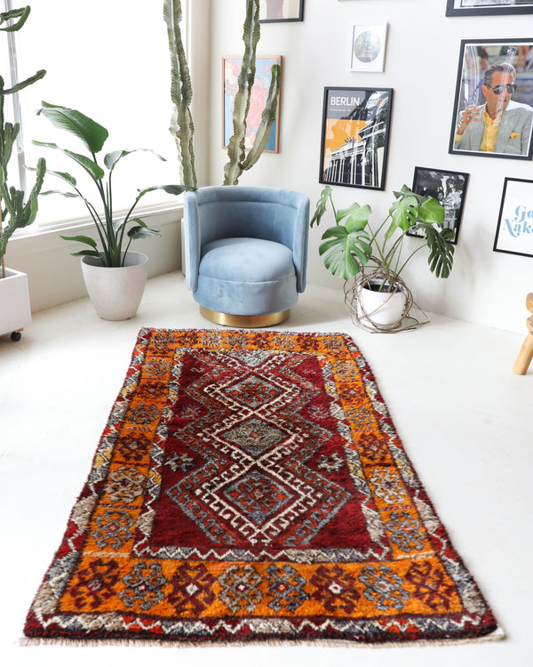 Vintage Turkish rug in a living room setting, pile rug, Turkish rug, vintage rug, portland, rug shop, bright colors, wild shaman, soft rug, bold color, Portland, Oregon, rug store, rug shop, local shop, shag rug, shaggy, plush,tulu rugs