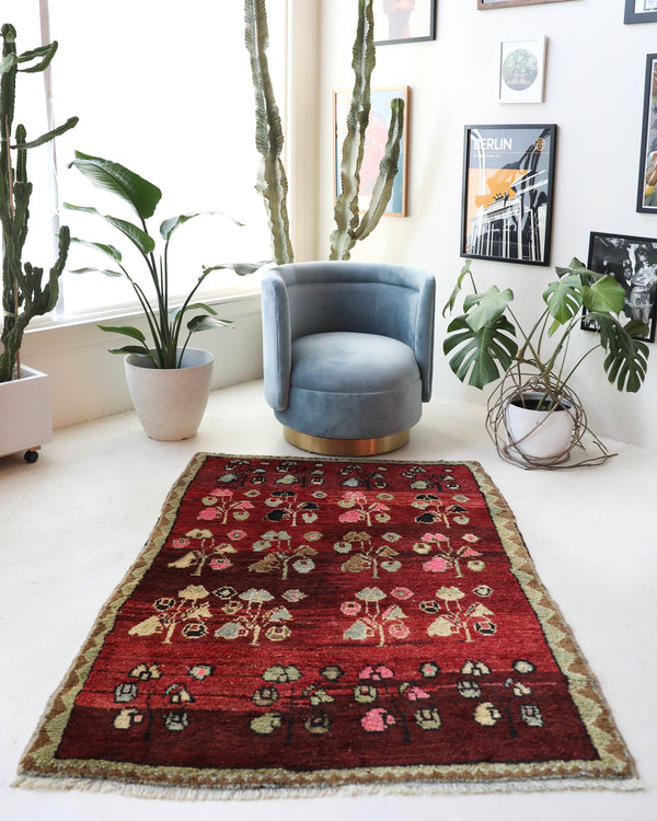 Vintage Turkish rug in a living room setting, pile rug, Turkish rug, vintage rug, portland, rug shop, bright colors, wild shaman, soft rug, bold color, Portland, Oregon, rug store, rug shop, local shop, shag rug, shaggy, plush,tulu rugs