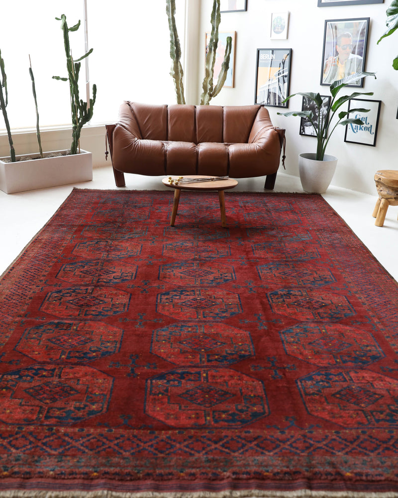cAntique Turkmen rug in a living room setting, pile rug, Turkish rug, vintage rug, portland, rug shop, bright colors, wild shaman, soft rug, bold color, Portland, Oregon, rug store, rug shop, local shop, antique rug