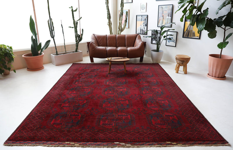 Antique Turkmen rug in a living room setting, pile rug, Turkish rug, vintage rug, portland, rug shop, bright colors, wild shaman, soft rug, bold color, Portland, Oregon, rug store, rug shop, local shop, antique rug