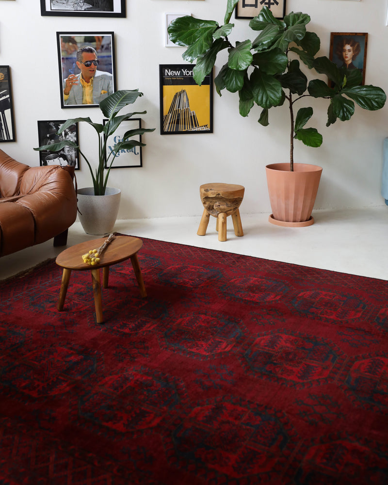 Antique Turkmen rug in a living room setting, pile rug, Turkish rug, vintage rug, portland, rug shop, bright colors, wild shaman, soft rug, bold color, Portland, Oregon, rug store, rug shop, local shop, antique rug