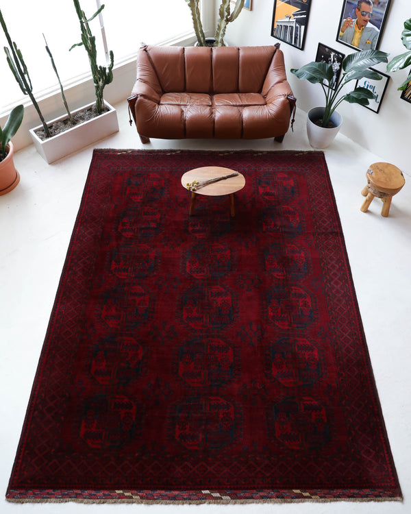 Antique Turkmen rug in a living room setting, pile rug, Turkish rug, vintage rug, portland, rug shop, bright colors, wild shaman, soft rug, bold color, Portland, Oregon, rug store, rug shop, local shop, antique rug