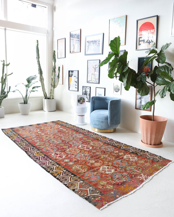 Vintage kilim rug in living room setting, bright colors, wild shaman, soft rug, bold color, Portland, Oregon, rug store, rug shop, local shop, vintage rug, modern kilim, warm colors