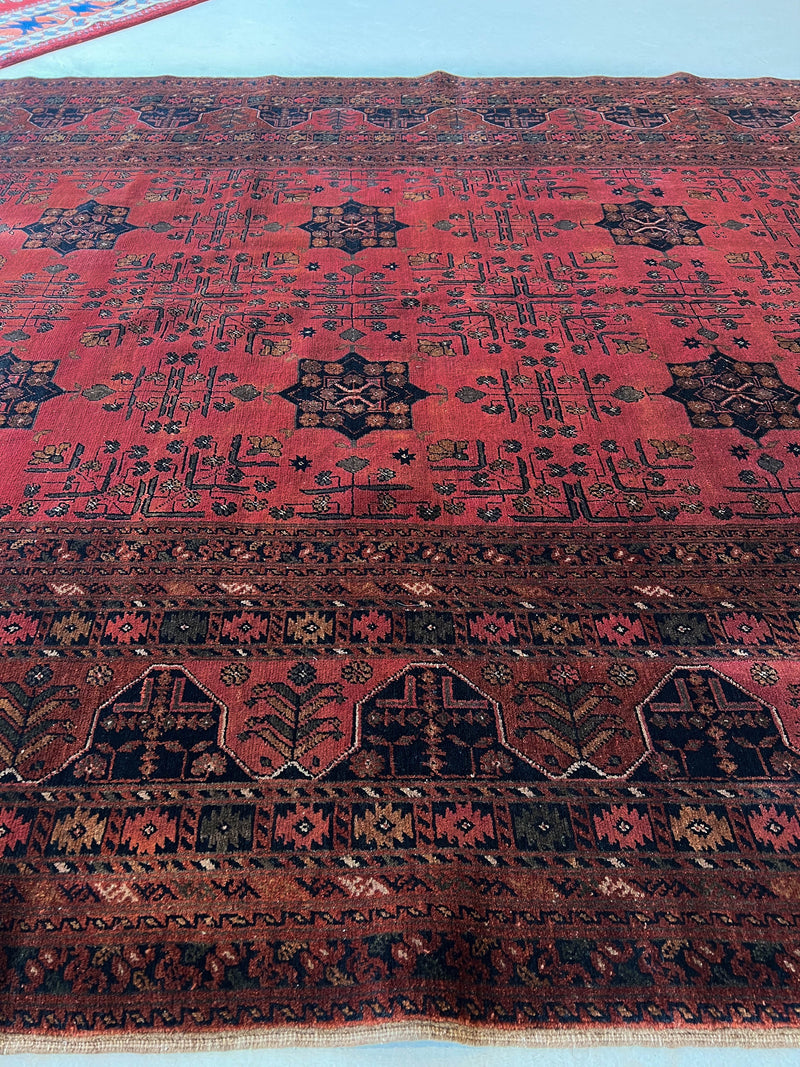  Antique Turkmen rug in a living room setting, pile rug, Turkish rug, vintage rug, portland, rug shop, bright colors, wild shaman, soft rug, bold color, Portland, Oregon, rug store, rug shop, local shop, antique rug