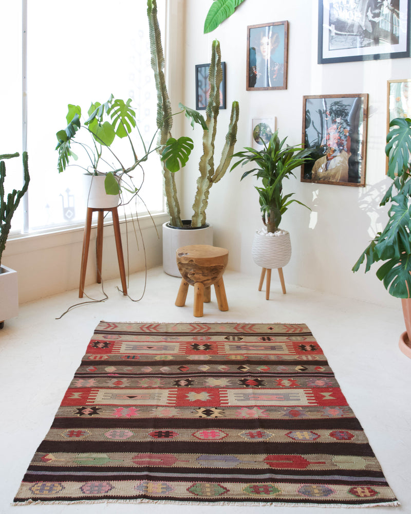 old rug, antique rug, earthy colors, faded colors, Turkish rug, vintage rug, flat weave, kilim rug, large area rug, square rug, Wild Shaman, Portland, Oregon, rug store, rug shop, local shop